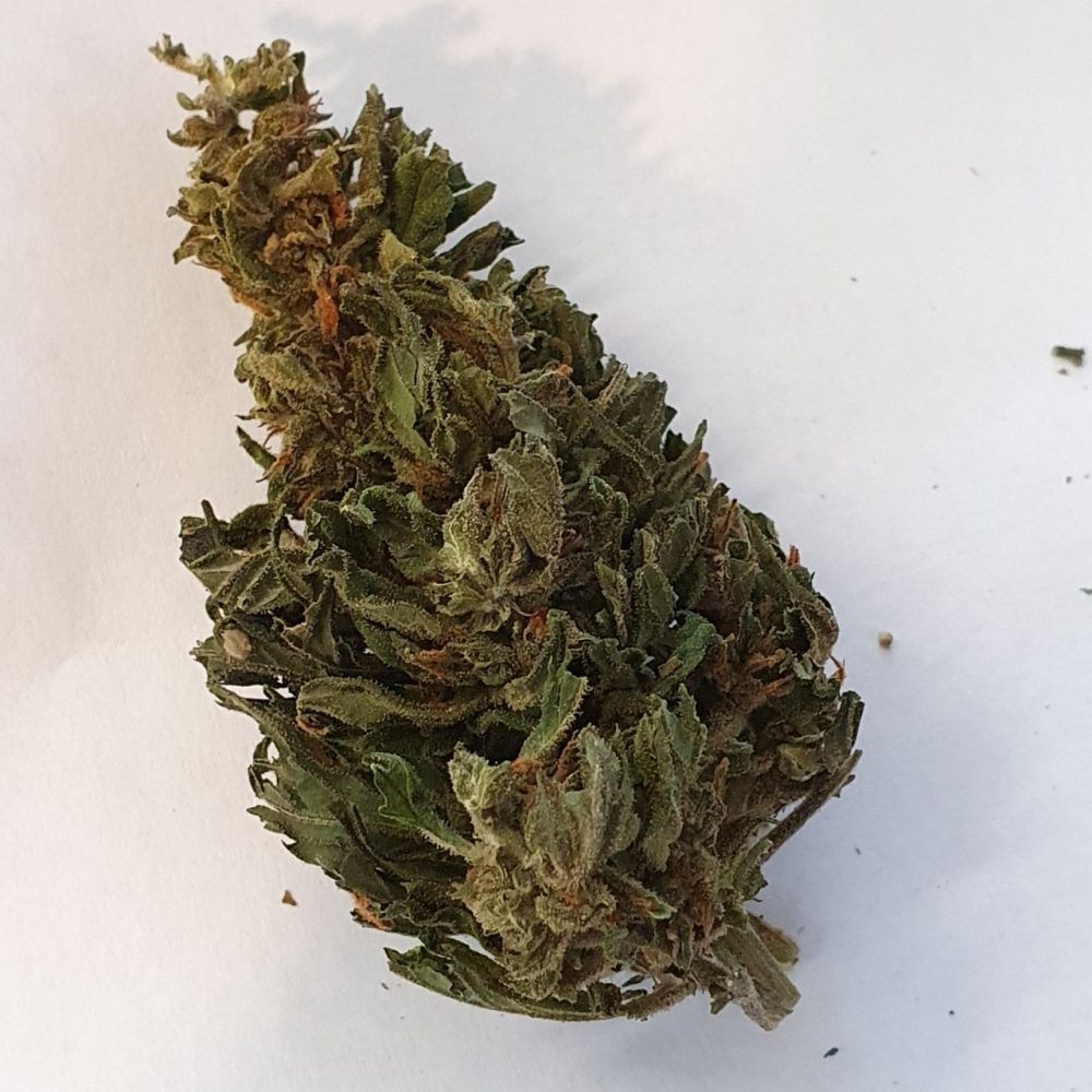 Shaman CBD